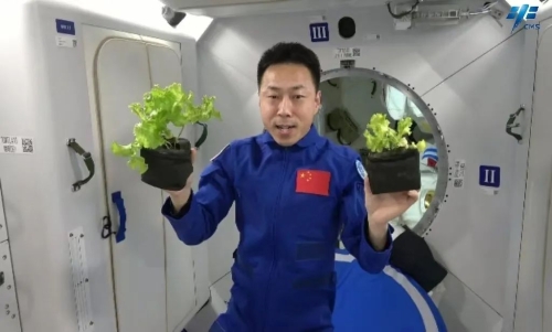  太空菜园怎么种植的？